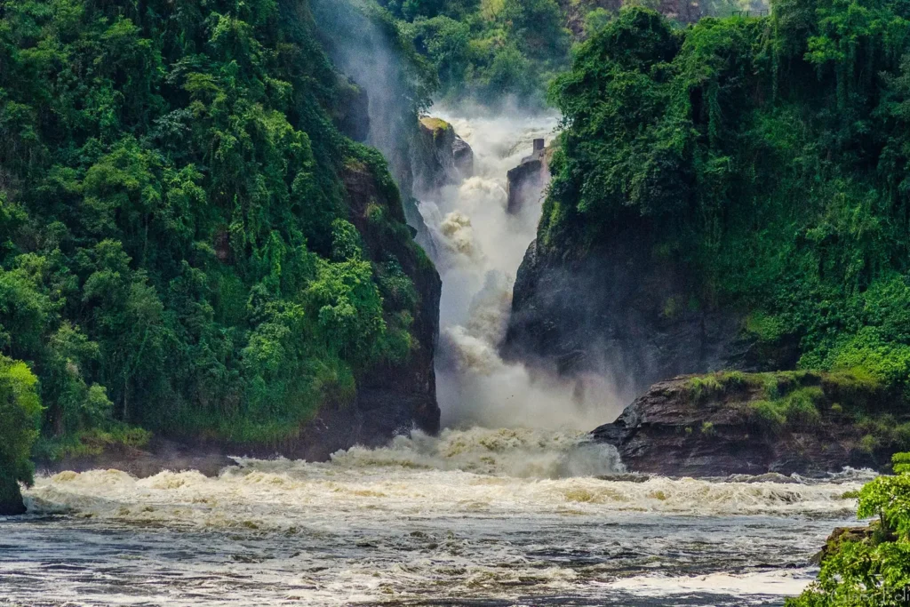 Exploring Murchison Falls National Park: A Wildlife Safari Adventure with Trahybes Adventure Safaris