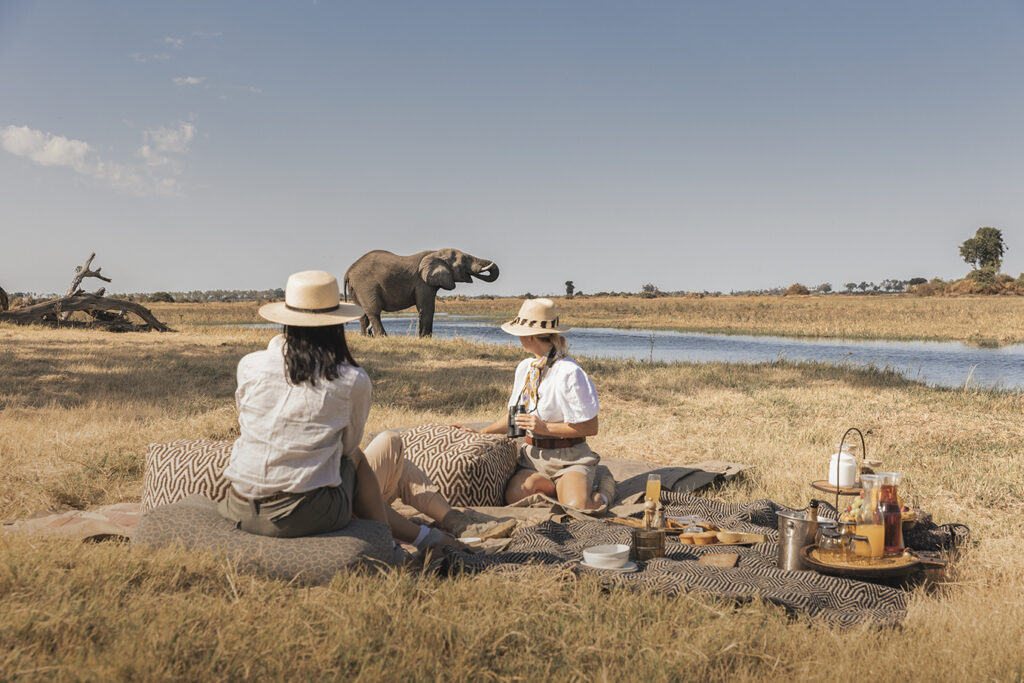 🦍 Unleash the Adventure: The Ultimate Uganda Safari Experience