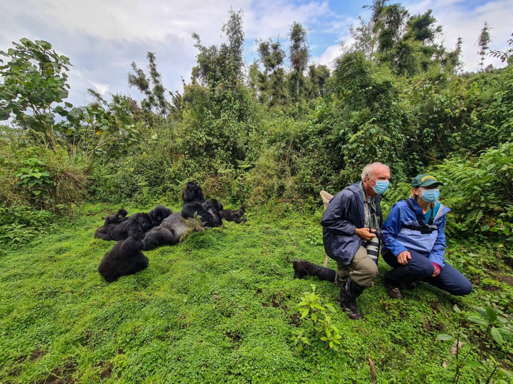 Rwanda Gorilla Trekking