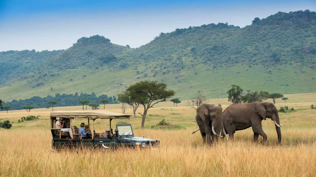 Big Five Safaris Africa